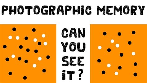 Logicpics: A Photographic Puzzle Journey Exploring Memory and Perception!