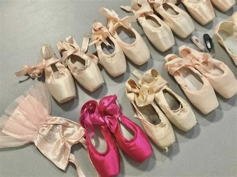 How Much Do Ballet Pointe Shoes Cost: A Dance Between Artistry and Economics